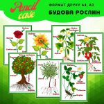 Плакат "Будова рослин"